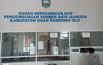 Bkd
