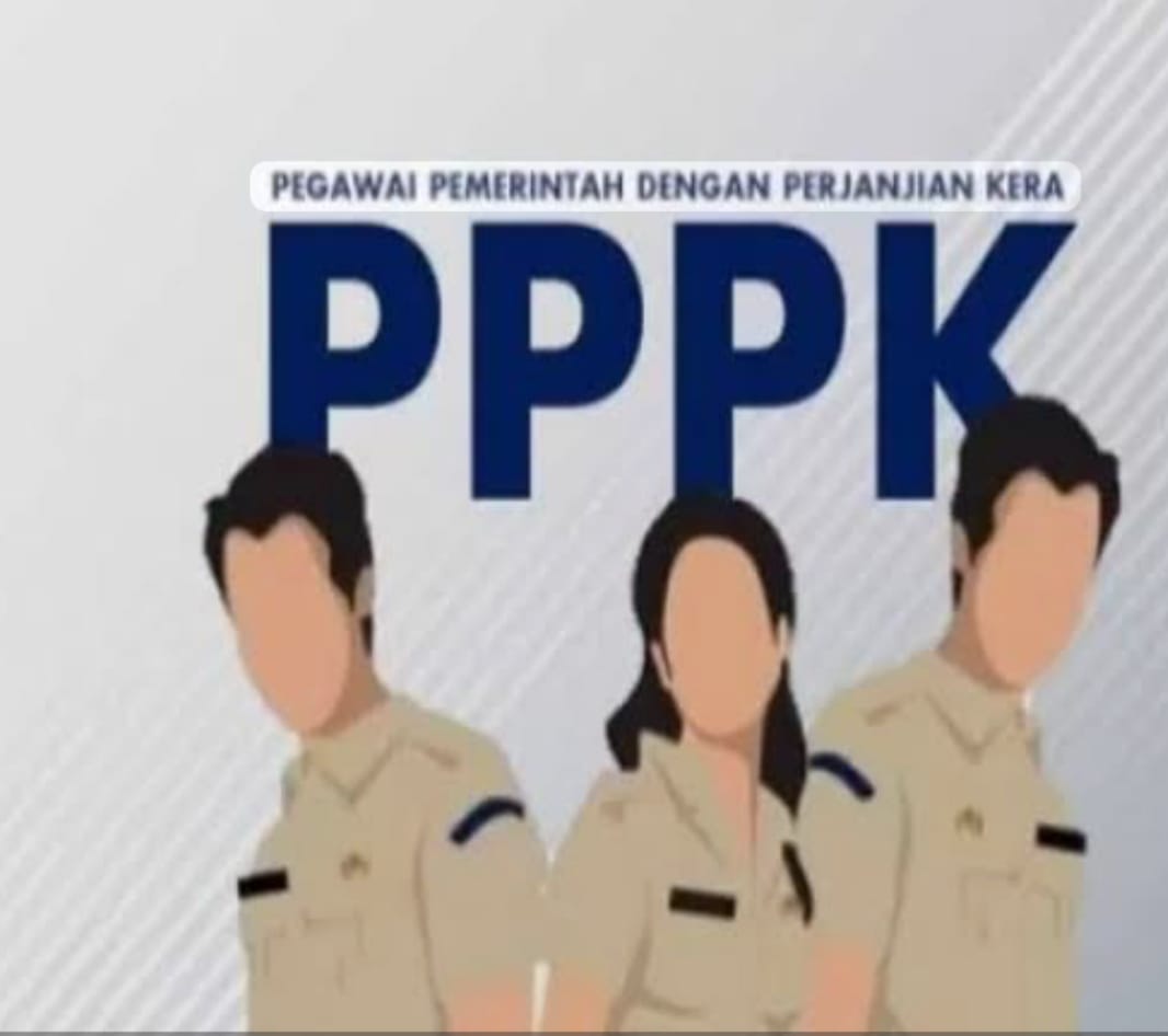 Ilustrasi PPPK.istimewa